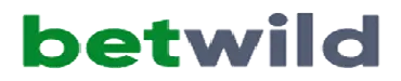 Logo betwild Casino